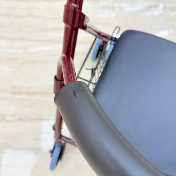 8-8-75251-4-Andador con Frenos