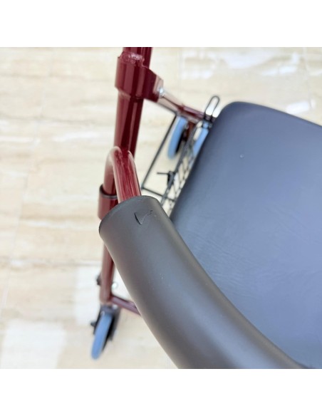 8-8-75251-4-Andador con Frenos