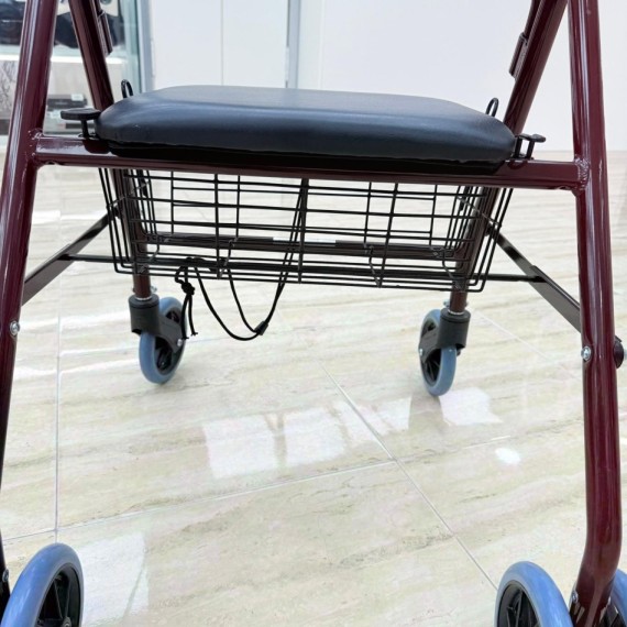 8-8-75251-5-Andador con Frenos