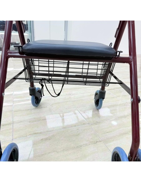 8-8-75251-5-Andador con Frenos