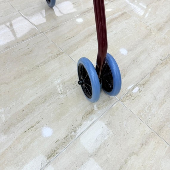 8-8-75251-6-Andador con Frenos