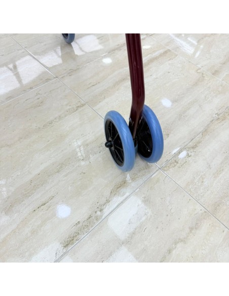 8-8-75251-6-Andador con Frenos