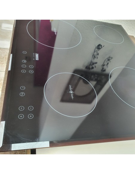 1-1-265852-3-Placa Induccion Zannusi 4 Zonas