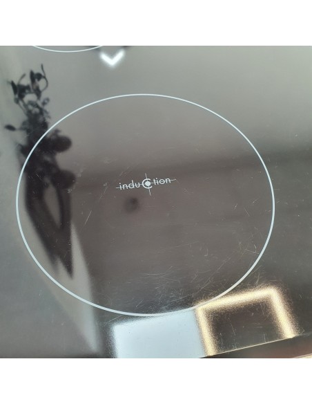 1-1-265852-4-Placa Induccion Zannusi 4 Zonas