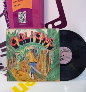 9-9-74906-1-Vinilo Caliche