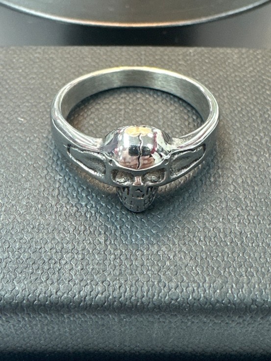 9-9-75704-1-Anillo acero fino plateado de calavera T18
