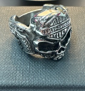 9-9-75674-1-Anillo acero plateado de calavera T16