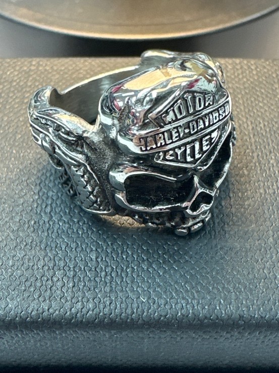 9-9-75674-1-Anillo acero plateado de calavera T16