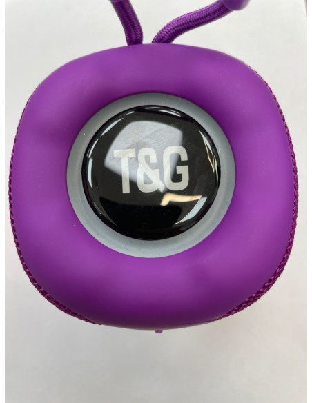 1-1-269273-3-Altavoces HiFi TyG Purple
