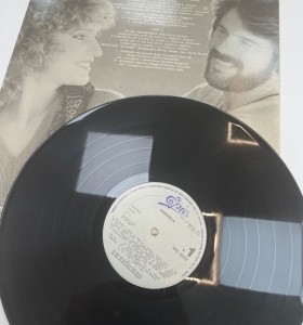 1-1-269708-1-Vinilo Pimninela 2