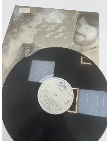 1-1-269708-2-Vinilo Pimninela