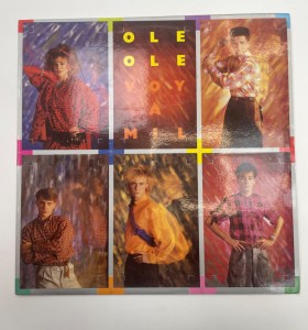 1-1-269707-1-Vinilo Ole Ole Voy a Mil