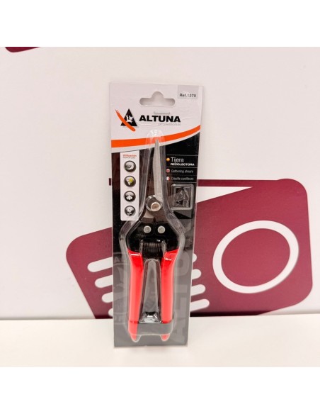 8-8-76132-1-De Corte (Nueva)