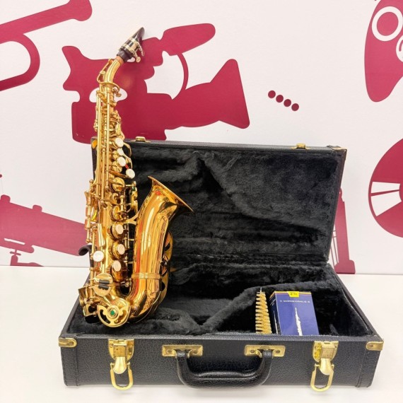 8-8-76078-1-Música Profesional Instrumento musical Saxofón ALTO