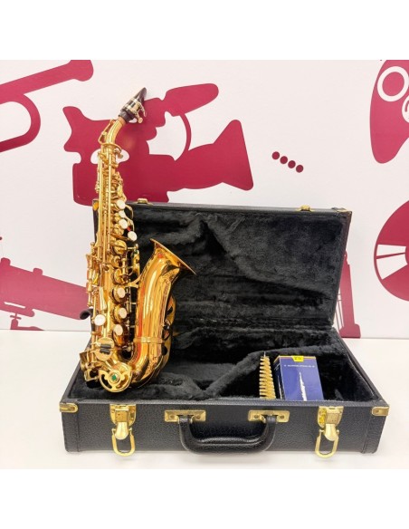 8-8-76078-1-Música Profesional Instrumento musical Saxofón ALTO