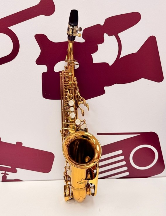 8-8-76078-2-Música Profesional Instrumento musical Saxofón ALTO