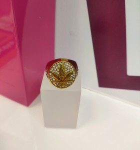 8-9-75504-1-Anillo acero dorado con hoja T22