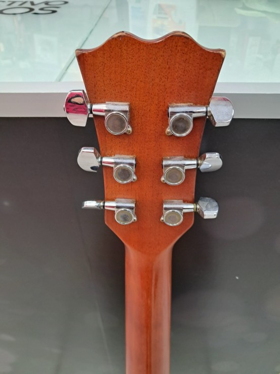 6-6-167803-4-Guitarra Acustica Electroacustica Fenix D-80CE