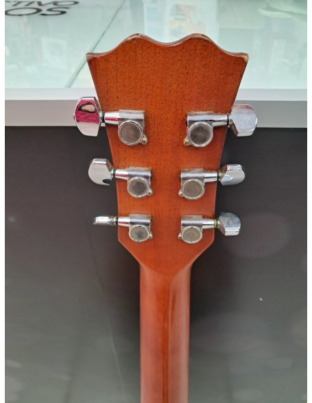 6-6-167803-4-Guitarra Acustica Electroacustica Fenix D-80CE