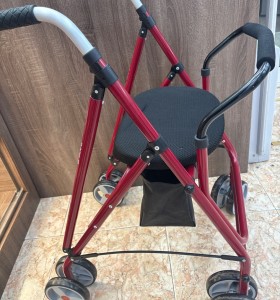 1-1-270341-1-Andador Forta