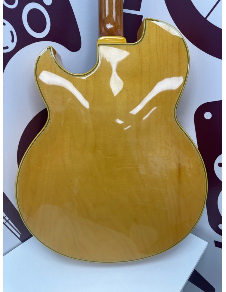 8-8-75318-3-Guitarra Electrica Acustica Ibañez pm100nt 