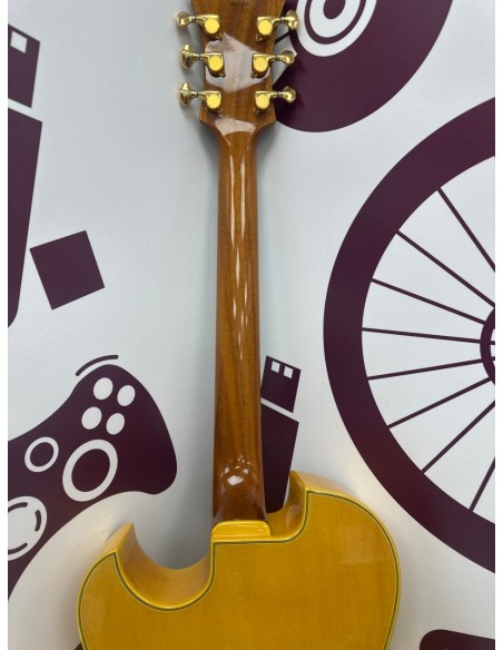 8-8-75318-4-Guitarra Electrica Acustica Ibañez pm100nt 