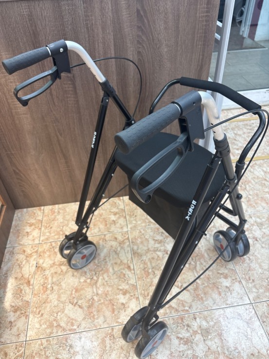 1-1-271215-3-Andador Forta Drako II