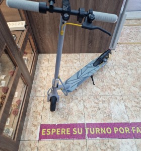 1-1-271749-1-Patinete Mascggter Zwheel