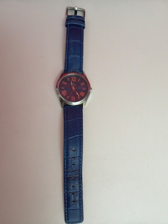 8-8-76558-2-Reloj Pulsera Caballero Festina F16648 Azul