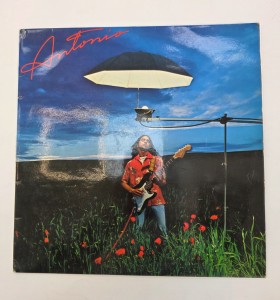 1-1-272593-1-Vinilo Antonio