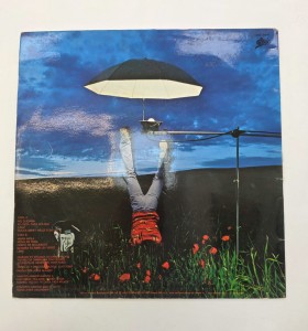 1-1-272593-1-Vinilo Antonio 2