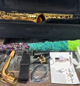 1-1-271144-1-Saxofon Ammoon  2