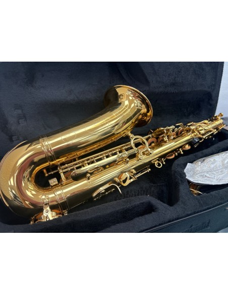 1-1-271144-3-Saxofon Ammoon 