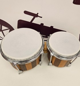 8-8-78012-1-Instrumentos percusión BONGOS 2