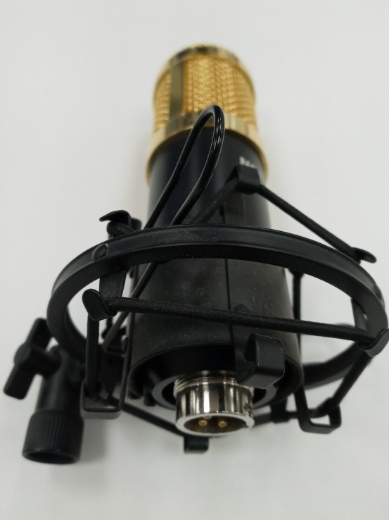 6-6-150268-2-Microfono Neever NW-800