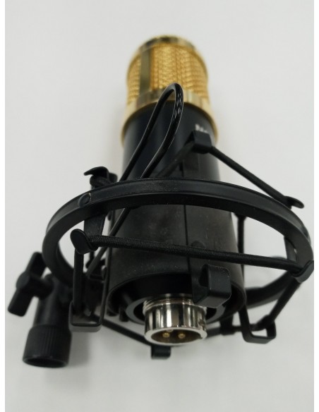 6-6-150268-2-Microfono Neever NW-800