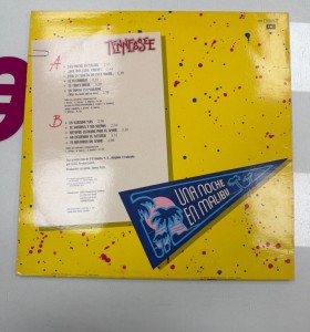 6-6-168417-1-Coleccionismo musical Tennessee 2