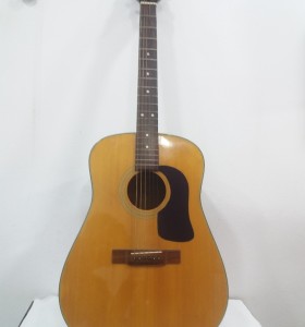 6-2-104028-1-Guitarra George Washburn