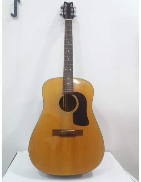 6-2-104028-1-Guitarra George Washburn