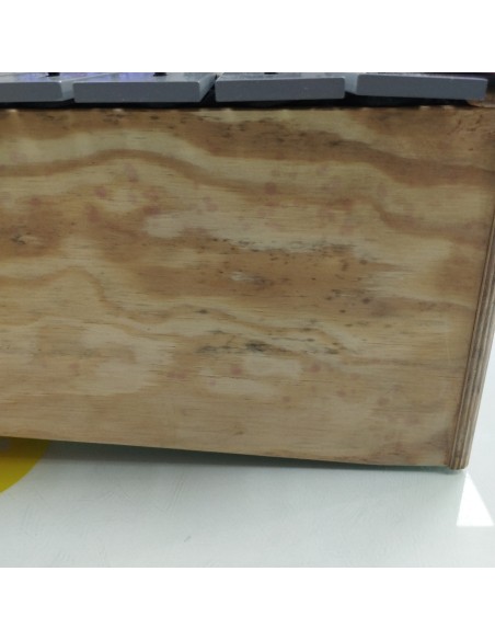 6-6-164230-4-Xilófono Sonor Am