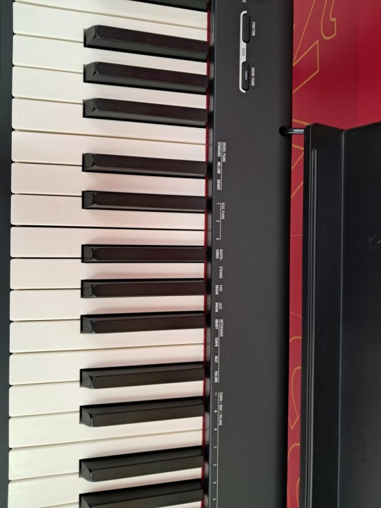 6-6-169182-3-Piano Casio CDP S100 88 Teclassoporte