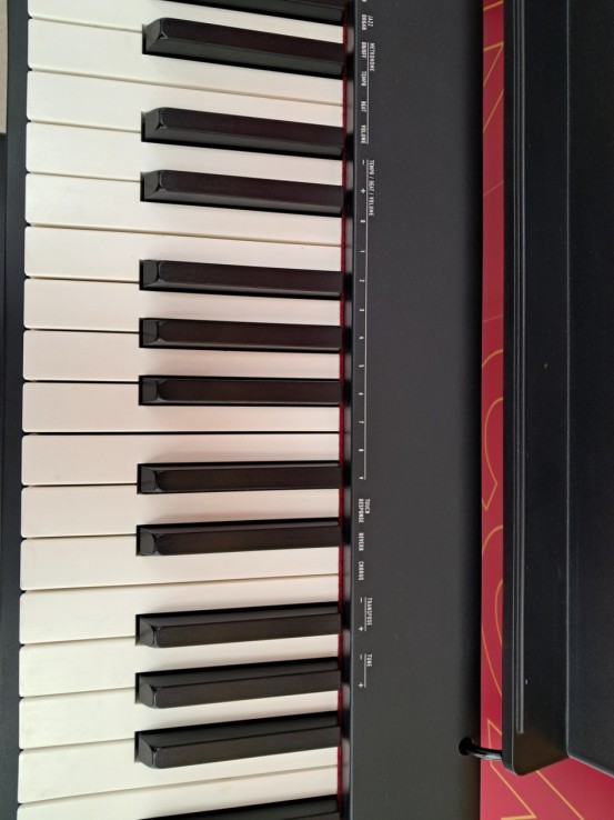 6-6-169182-4-Piano Casio CDP S100 88 Teclassoporte