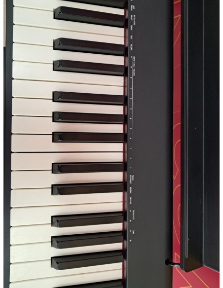 6-6-169182-4-Piano Casio CDP S100 88 Teclassoporte