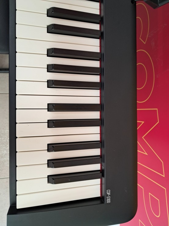 6-6-169182-5-Piano Casio CDP S100 88 Teclassoporte