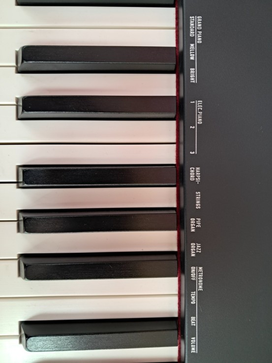 6-6-169182-10-Piano Casio CDP S100 88 Teclassoporte