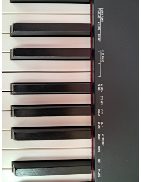 6-6-169182-10-Piano Casio CDP S100 88 Teclassoporte