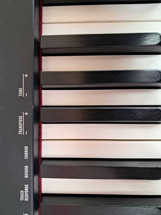 6-6-169182-12-Piano Casio CDP S100 88 Teclassoporte