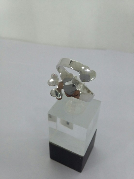 6-6-108582-1-anillo de plata 