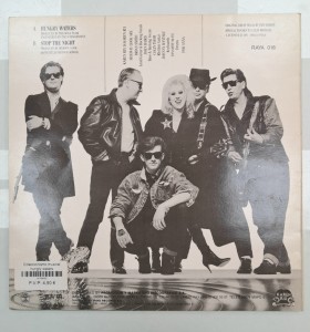 6-6-168433-1-Coleccionismo musical hungry waters 2