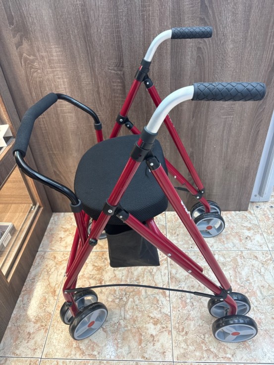 1-1-270341-3-Andador Forta